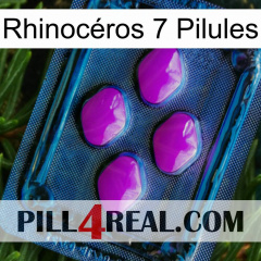 Rhinocéros 7 Pilules 04